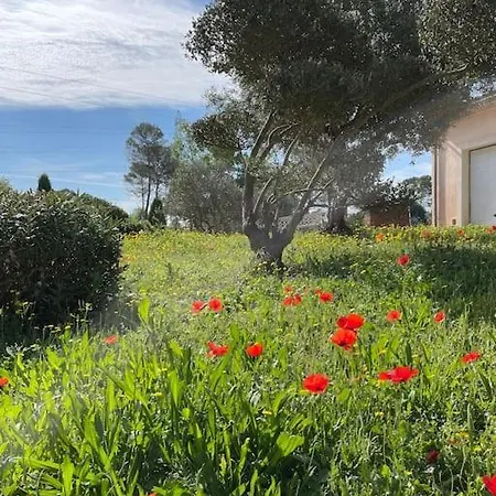 Le Calme De La Campagne Proche De Tout..... Holiday home Les Arcs-sur-Argens